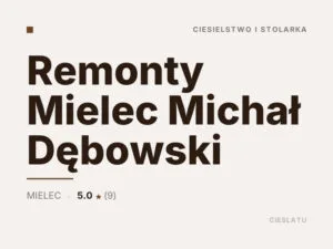 Remonty Mielec Michał Dębowski