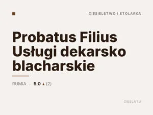 Probatus Filius Usługi dekarsko blacharskie