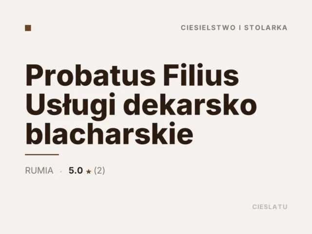 Probatus Filius Usługi dekarsko blacharskie