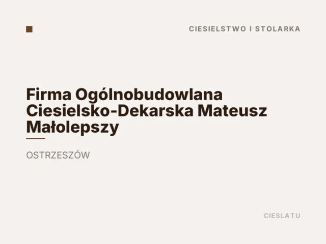 Firma Ogólnobudowlana Ciesielsko-Dekarska Mateusz Małolepszy