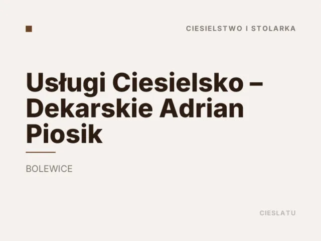 Usługi Ciesielsko – Dekarskie Adrian Piosik