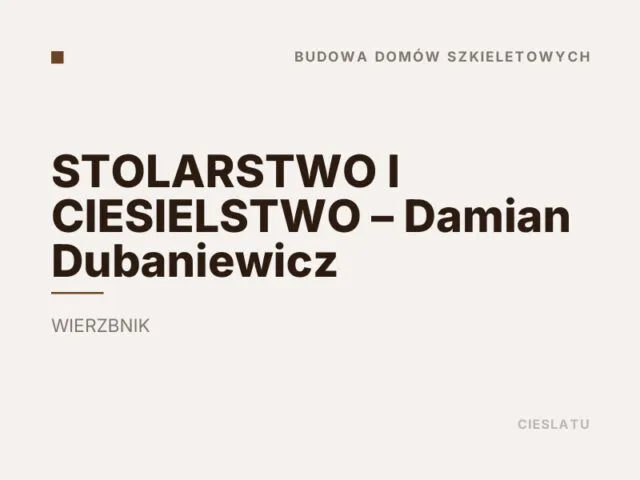 STOLARSTWO I CIESIELSTWO – Damian Dubaniewicz
