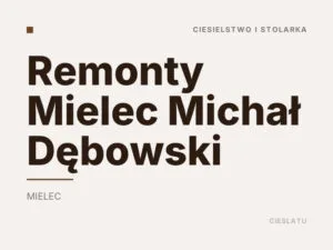 Remonty Mielec Michał Dębowski