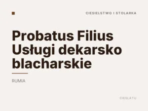 Probatus Filius Usługi dekarsko blacharskie