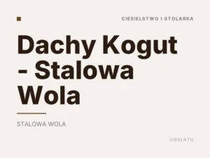 Dachy Kogut – Stalowa Wola