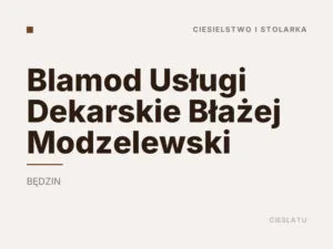 Blamod Usługi Dekarskie Błażej Modzelewski