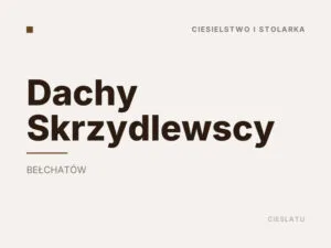 Dachy Skrzydlewscy